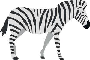 zebra vectorillustratie op een background.premium kwaliteit symbolen.vector pictogrammen voor concept en grafisch ontwerp. vector