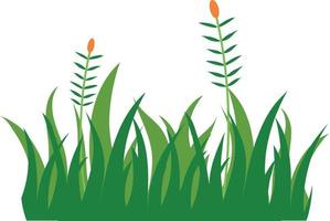 gras icoon over- wit achtergrond. kleurrijk ontwerp. vector illustraton