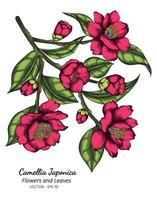 roze camellia japonica bloem en blad tekenen illustratie met lijntekeningen op een witte achtergrond. vector