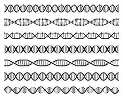 dna schroef kettingen. dubbele schroef gen molecuul structuur, menselijk genetisch code. dna keten moleculair volgorde naadloos element vector reeks