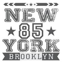 New York Brooklyn grijs geïsoleerd vector