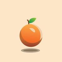 oranje fruit icoon vector, fruit vector, oranje fruit aan het leren afbeelding vector