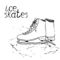 hand getrokken schets schaatsen. tekening sport doodle element wintersportartikelen. op schoolbord achtergrond vector