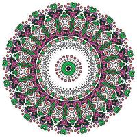 mandala achtergrond met Super goed kleuren. ongebruikelijk bloem vorm geven aan. oosters. anti stress behandeling patronen. weven ontwerp elementen vector