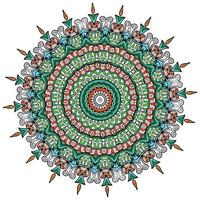 kleurrijk mandala's voor kleur boek. decoratief ronde ornamenten. ongebruikelijk bloem vorm geven aan. oosters. anti stress behandeling patronen. weven ontwerp elementen. vector