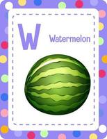 alfabet flashcard met letter w voor watermeloen vector