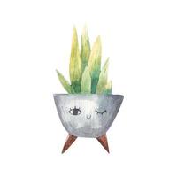 schattig bloem pot met gezicht, huis planten. schattig kinderachtig illustratie vector