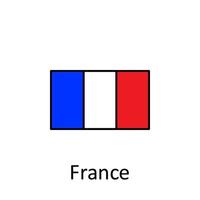 nationaal vlag van Frankrijk in gemakkelijk kleuren met naam vector icoon illustratie
