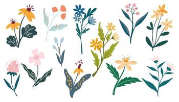 zomer wild bloemen set. bloemen botanisch planten. weide en veld- kruiden. ideaal voor decoratie, ansichtkaarten, afdrukken, bruiloften en de web. vector illustratie in hand- getrokken vlak stijl geïsoleerd