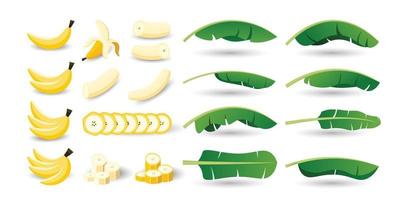 set van bananenvruchten en bladeren vector