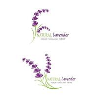 lavendel logo sjabloon vector symbool natuur