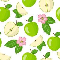 vector cartoon naadloze patroon met malus domestica of groene appel exotische vruchten, bloemen en bladeren op witte achtergrond