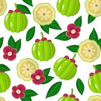 vector cartoon naadloze patroon met garcinia of aap fruit exotisch fruit, bloemen en bladeren op witte achtergrond