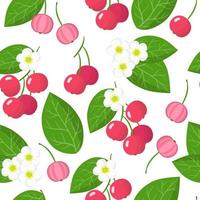 vector cartoon naadloze patroon met muntingia calabura of capulin exotische vruchten, bloemen en bladeren op witte achtergrond