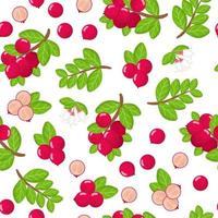 vector cartoon naadloze patroon met rode bosbessen exotisch fruit, bloemen en bladeren op witte achtergrond