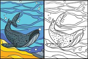 walvis haai kleur bladzijde gekleurde illustratie vector