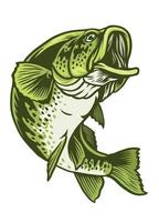 Largemouth bas vis vector