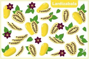 set van cartoon vectorillustraties met lardizabala exotisch fruit, bloemen en bladeren geïsoleerd op een witte achtergrond vector