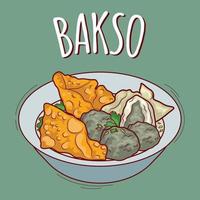 bakso of gehaktbal illustratie Indonesisch voedsel met tekenfilm stijl vector