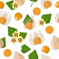 vector cartoon naadloze patroon met physalis peruviana exotisch fruit, bloemen en bladeren op witte achtergrond