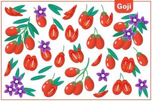 set van cartoon vectorillustraties met goji exotisch fruit, bloemen en bladeren geïsoleerd op een witte achtergrond vector