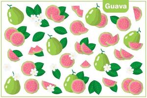 set van cartoon vectorillustraties met guave exotisch fruit, bloemen en bladeren geïsoleerd op een witte achtergrond vector