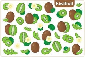 set van cartoon vectorillustraties met kiwi's exotisch fruit, bloemen en bladeren geïsoleerd op een witte achtergrond vector