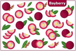 set van cartoon vectorillustraties met bayberry exotisch fruit, bloemen en bladeren geïsoleerd op een witte achtergrond vector