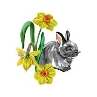 grijs konijn met geel bloemen, narcissen. vector