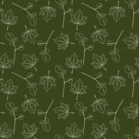 naadloos groen patroon met wit schets esdoorn- en eucalyptus bladeren. vector