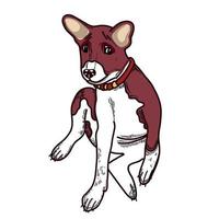 hond. vector tekening, basenji hond Aan een wit achtergrond. voor decor, scrapbooken, creativiteit, kleding stof.