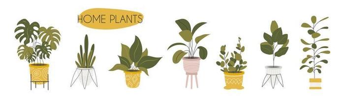 reeks van verschillend stickers van binnen- planten in bloem potten. exotisch planten, monstera en andere huis decoratief bloemen. vector voorraad illustratie. hand getekend stijl. stickers voor dagboek en notebook.