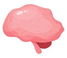 brein. menselijk orgaan centraal nerveus systeem. vector illustratie in vlak tekenfilm stijl.