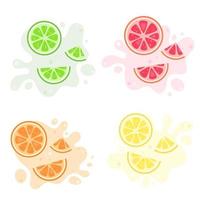 fruit spatten. exotisch en tropisch fruit citroen, limoen, sinaasappel, grapefruit. vector illustratie
