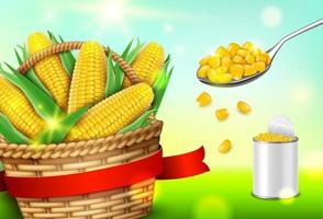 realistisch gedetailleerd 3d biologisch maïs advertenties banier concept kaart. vector