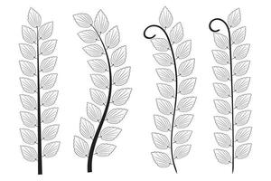 hand- getrokken tekening olijf- boom takken herfst bladeren, wijnoogst laurier krans bladeren, flora symbool decoratief stang, botanisch Afdeling en bladeren, ontwerp element Woud en plant, vector illustratie