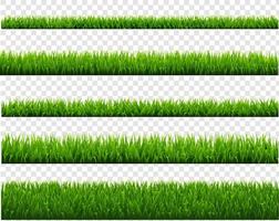 groen gras reeks geïsoleerd transparant achtergrond vector