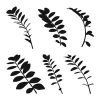 echt modern silhouetten planten, kruiden. tekening zamioculcas. vlak ontwerp kunst ontwerp sjabloon. vector
