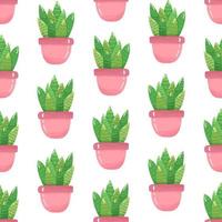 naadloos patroon met tekenfilm ingemaakt kamerplant - schattig groen cactus met stekels in een roze pot Aan wit achtergrond. vector