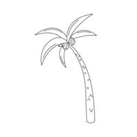 palm boom tekening geïsoleerd. vector illustratie van schattig hand- getrokken schets tropisch boom. palm en kokosnoten. zwart en wit kattebelletje ontwerp element. zomer vakantie symbool