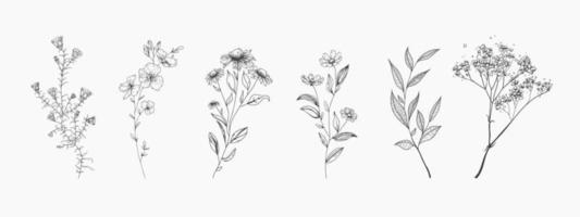 set van wilde bloemen. schets stijl. vector