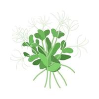 zaden en spruiten van microgreens van erwten. ontwerp element. vector illustratie.