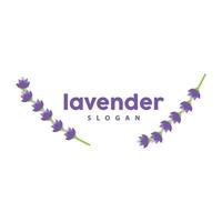 lavendel logo, gemakkelijk elegant Purper bloem fabriek vector, groet kaart ontwerp, banier, bloem ornament, lavendel hand- getrokken bruiloft, icoon symbool illustratie vector