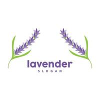 lavendel logo, gemakkelijk elegant Purper bloem fabriek vector, groet kaart ontwerp, banier, bloem ornament, lavendel hand- getrokken bruiloft, icoon symbool illustratie vector