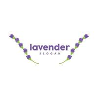 lavendel logo, gemakkelijk elegant Purper bloem fabriek vector, groet kaart ontwerp, banier, bloem ornament, lavendel hand- getrokken bruiloft, icoon symbool illustratie vector