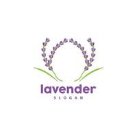 lavendel logo, gemakkelijk elegant Purper bloem fabriek vector, groet kaart ontwerp, banier, bloem ornament, lavendel hand- getrokken bruiloft, icoon symbool illustratie vector