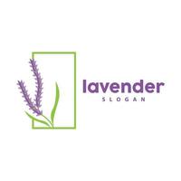 lavendel logo, gemakkelijk elegant Purper bloem fabriek vector, groet kaart ontwerp, banier, bloem ornament, lavendel hand- getrokken bruiloft, icoon symbool illustratie vector