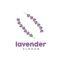 lavendel logo, gemakkelijk elegant Purper bloem fabriek vector, groet kaart ontwerp, banier, bloem ornament, lavendel hand- getrokken bruiloft, icoon symbool illustratie vector