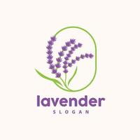 lavendel logo, gemakkelijk elegant Purper bloem fabriek vector, groet kaart ontwerp, banier, bloem ornament, lavendel hand- getrokken bruiloft, icoon symbool illustratie vector