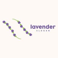 lavendel logo, gemakkelijk elegant Purper bloem fabriek vector, groet kaart ontwerp, banier, bloem ornament, lavendel hand- getrokken bruiloft, icoon symbool illustratie vector